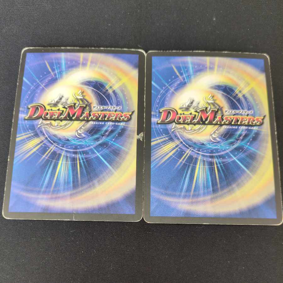 キズ多め キズ多め 蒼狼の始祖アマテラス(通常) R 10/55/Y7