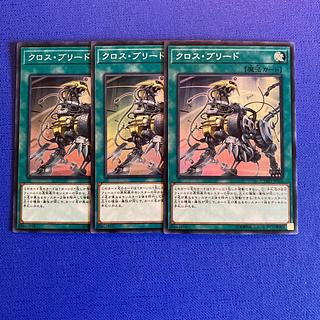 Cross Breed Super Rare JP066