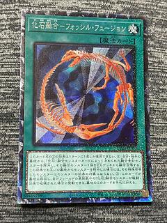 化石融合　フォッシル・フュージョン　コレクターズ　レア　マホ子
