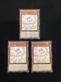 マルチャミー・ニャルス 3枚セット