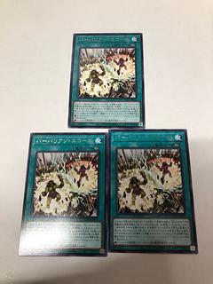 Barbarian Echoes, rare WPP5-JP065