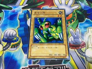 Y-1663 Basic Insect Normal DL2-008