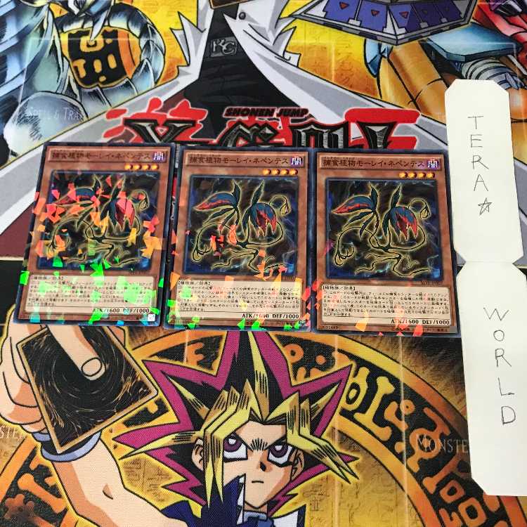捕食植物モーレイ・ネペンテス SPFE 2 ノーマルパラレル 効果 3枚セット てら 3枚