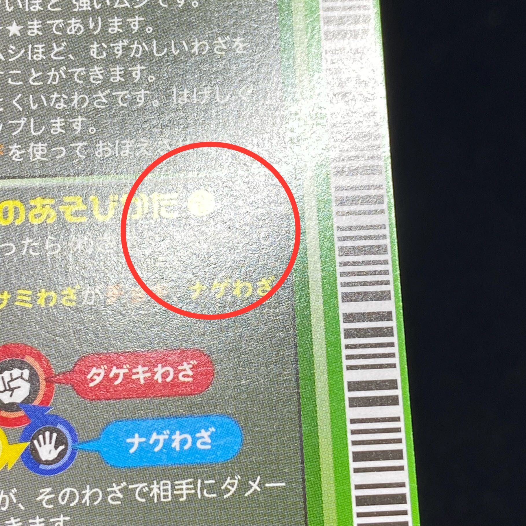 Stag beetle [location test]. 1枚