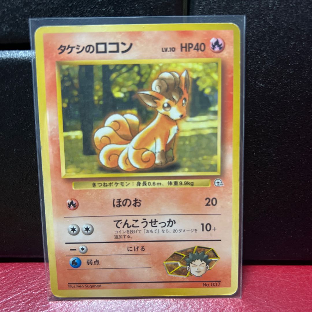 タケシのロコン 1枚