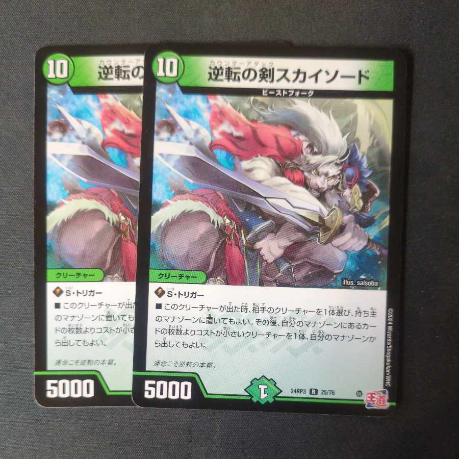 Reversed Sword Sky Sword R 25/76 Set of 2