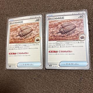 only) Old koura fossil C 155/165 2枚