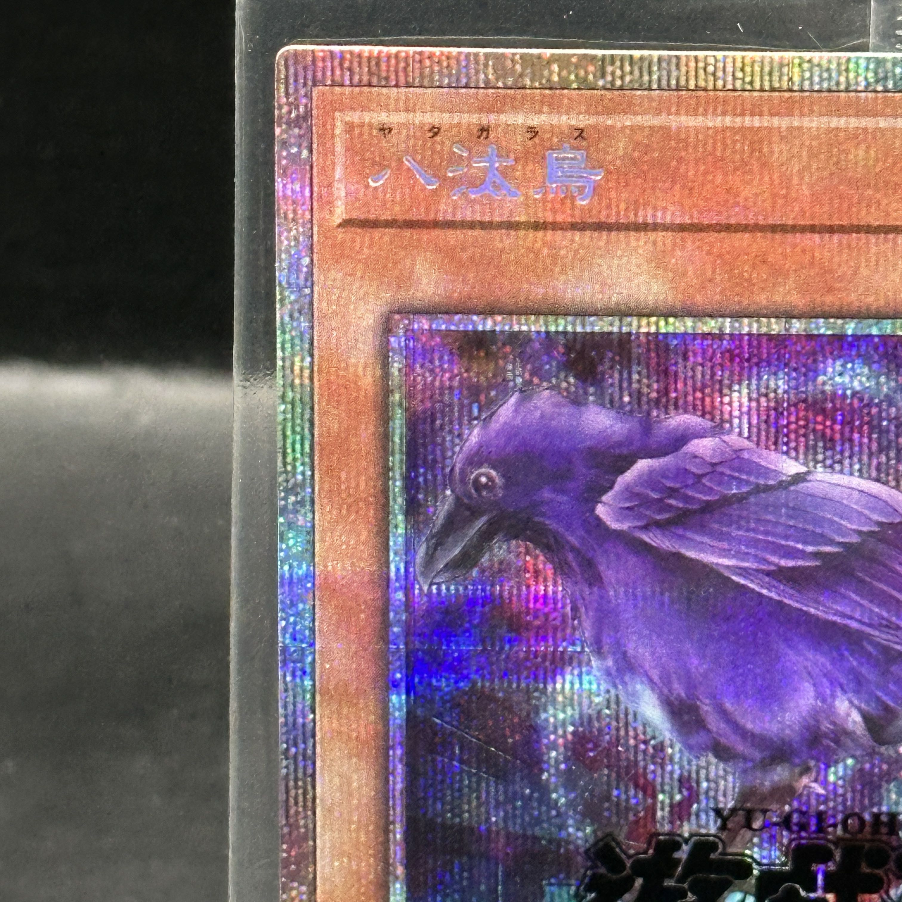 八汰烏 (未開封) [プリズマ] {25YA-JP002} 1枚 1枚