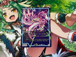 D-11 Satsui C-1 set C 81/103 1枚