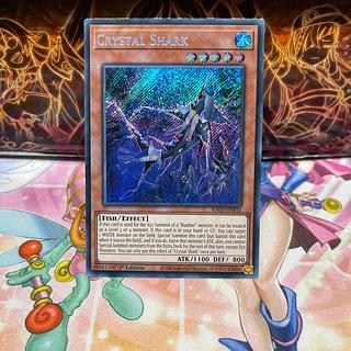 Koo Squirrel Tal Shark Secret Rare RA03