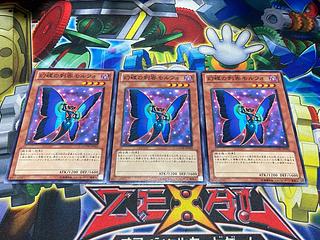 Y-3970 Morpho Butterspy Normal JP012 3枚