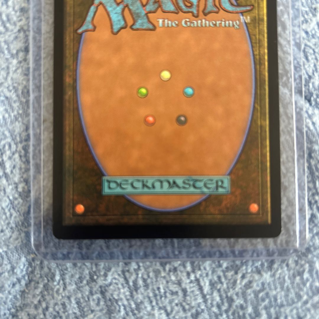 儚い存在　レア　日本画　mtg 1枚