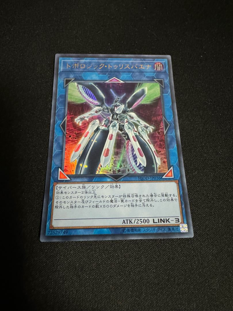 No.37 トポロジック・トゥリスバエナ 1枚