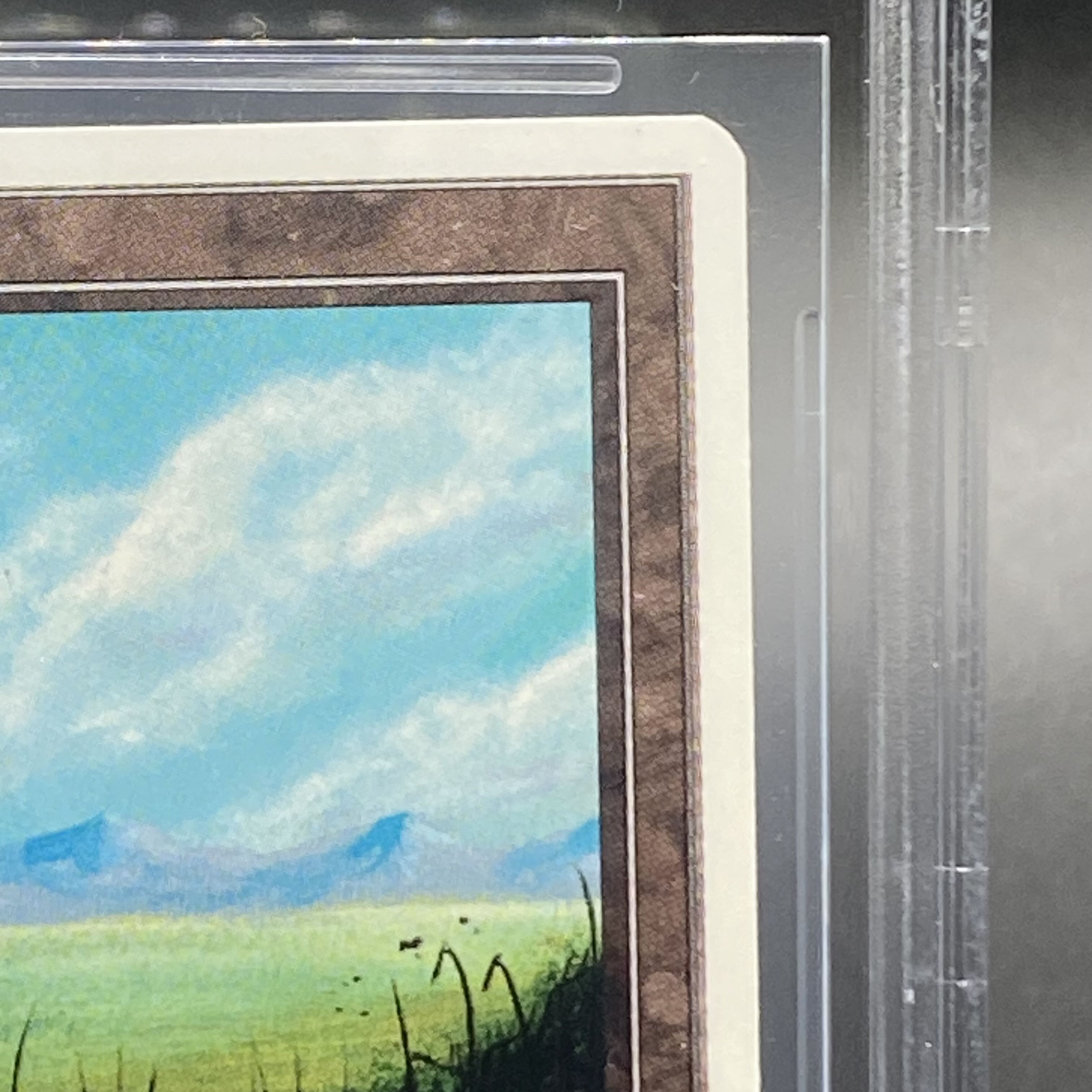 BGS9】平地 / Plains 基本土地 サマーマジックの通販 土日祝休 BGS9】平地 / Plains 基本土地 サマーマジックの通販 土日祝休