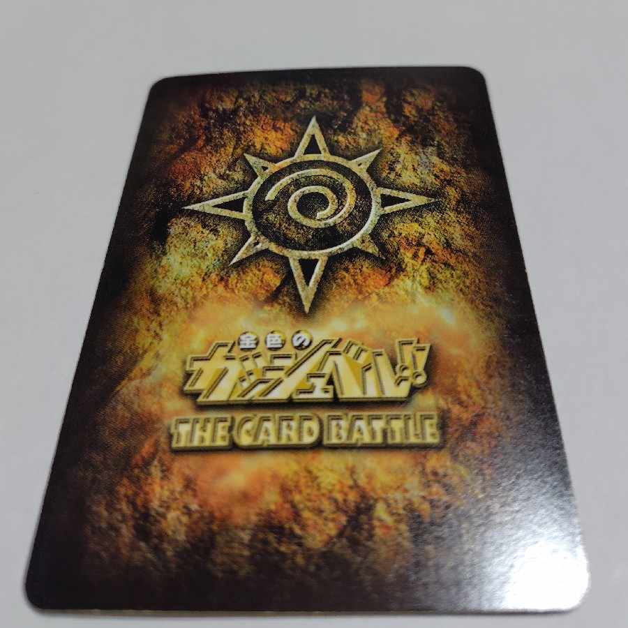 ディオガ・グラビドン