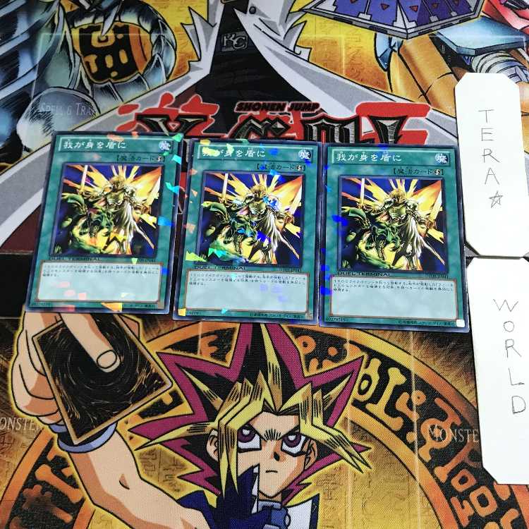 My Body as a Shield 5 Dueling Terminals, set of 3, Tera.