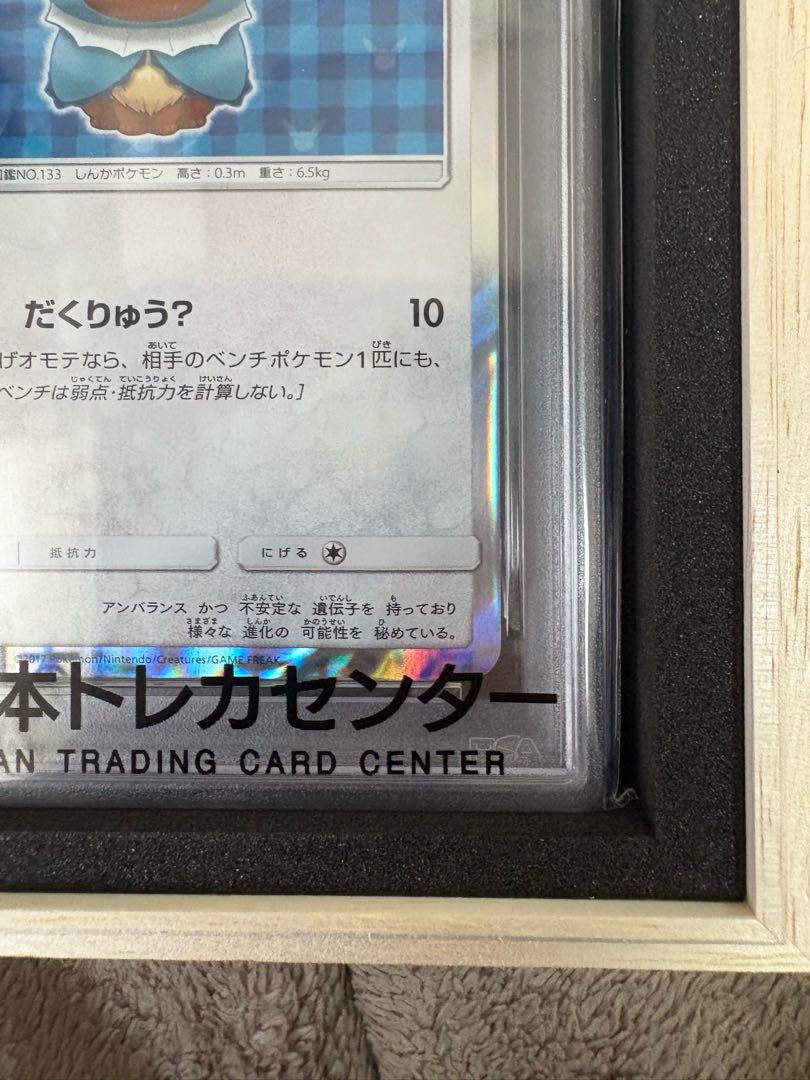 PSA10 超美品 ポンチョを着たイーブイ PROMO 137/SM-P 1枚