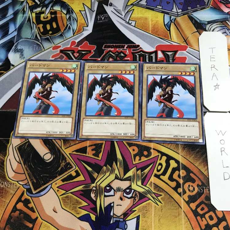 バードマン AT01 1 ノーマル 3枚セット てら