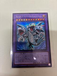 Snubbull Eyes Toon Ultimate Dragon Secret Rare RV01-JP005 1枚