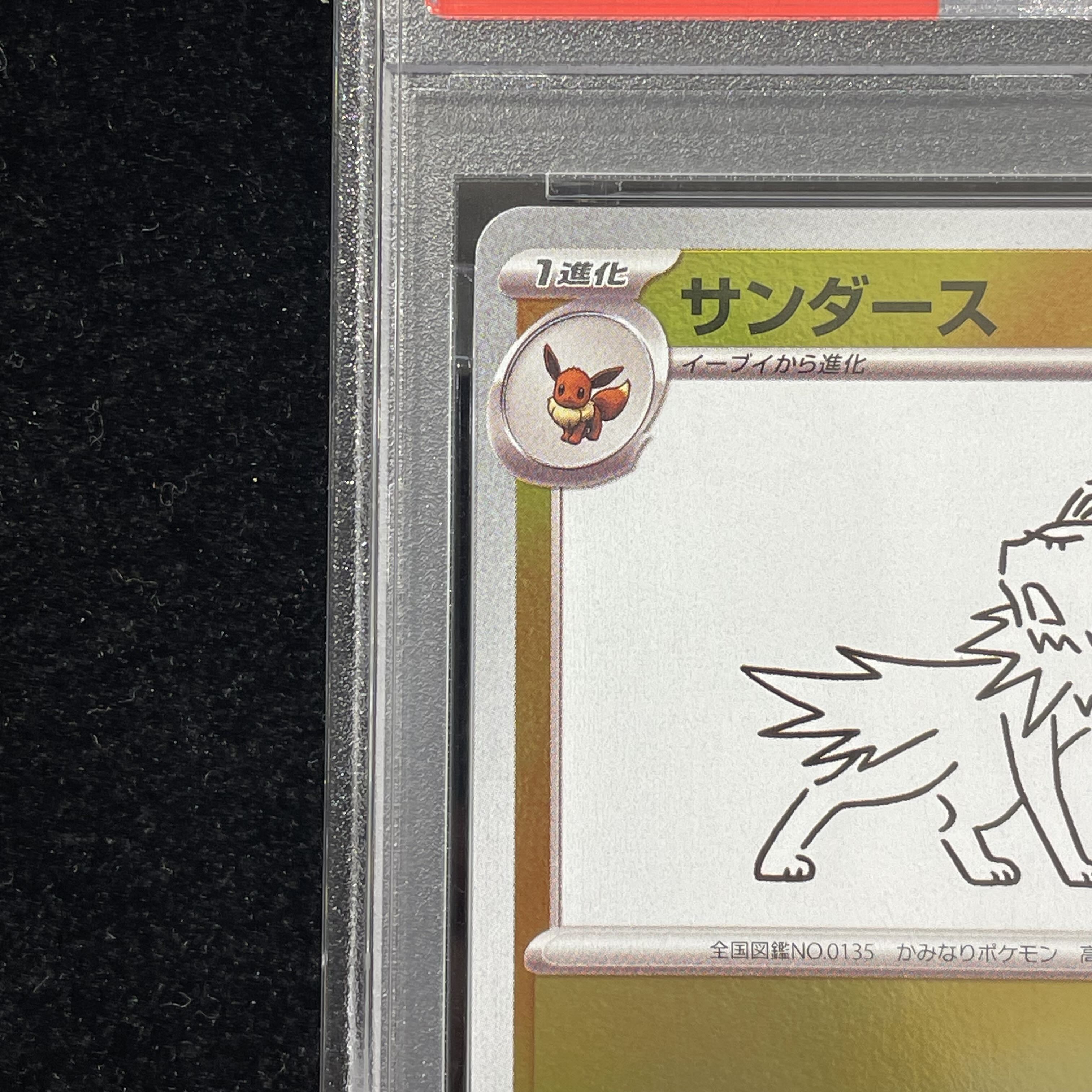 【PSA10】サンダース YU NAGABA プロモ 開封済み PROMO 064/SV-P 1枚
