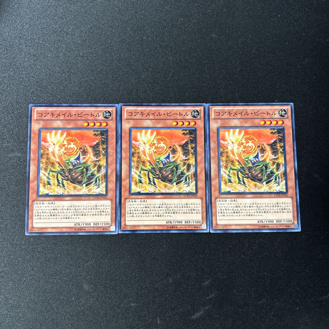 3755 Koa'ki Meiru Beetle☆3514