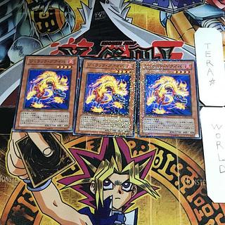 Jurrac Guaiba DT06 1 Duel Terminal, set of 3 Tera.