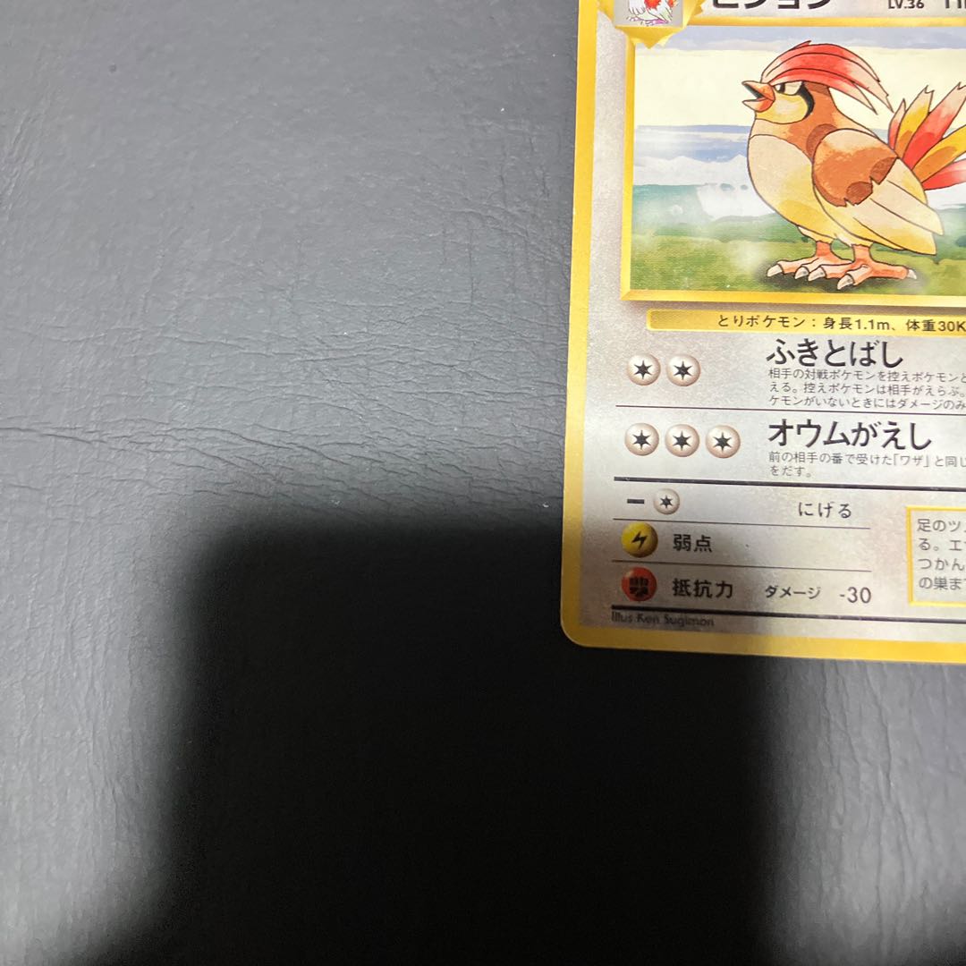 【状態】C ポケカ　旧裏　マークなし　ピジョン 1枚