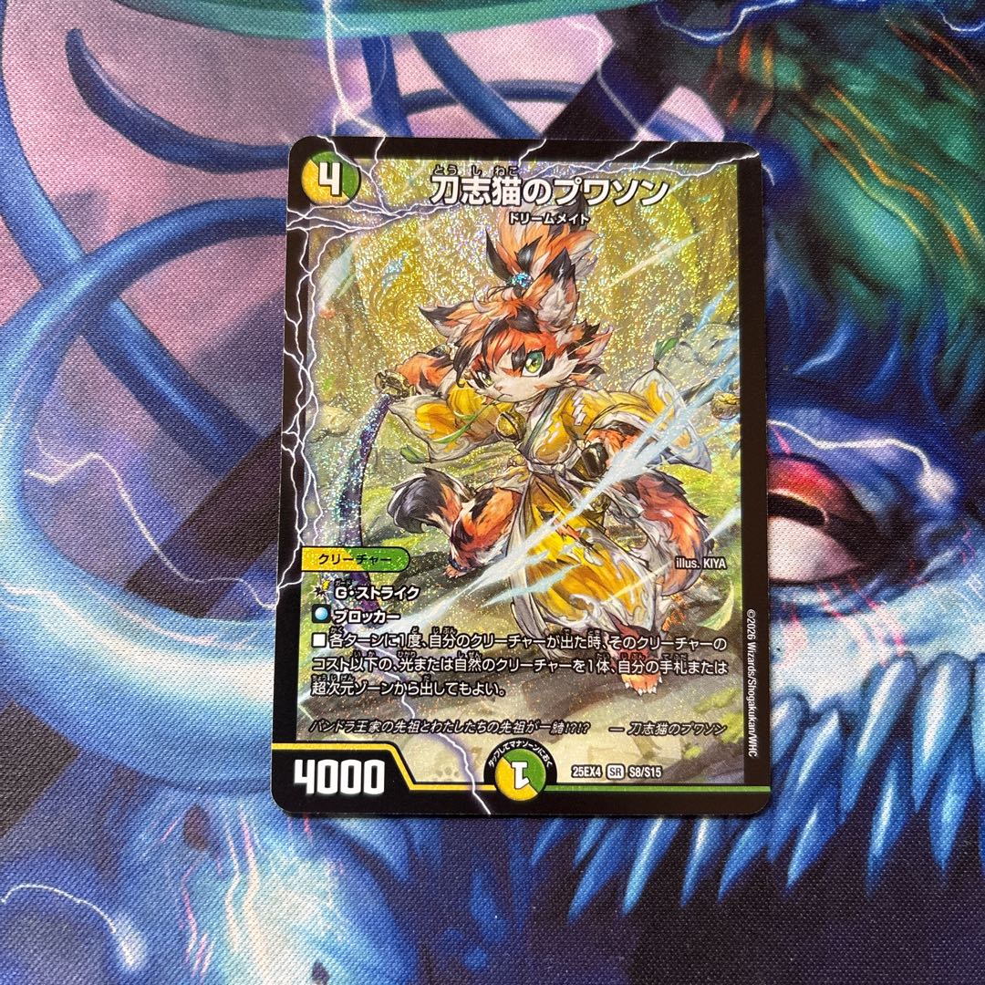 Tou Shih Neko Puisson SR S8/S15 1枚