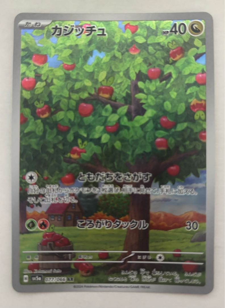 カジッチュ　AR 1枚