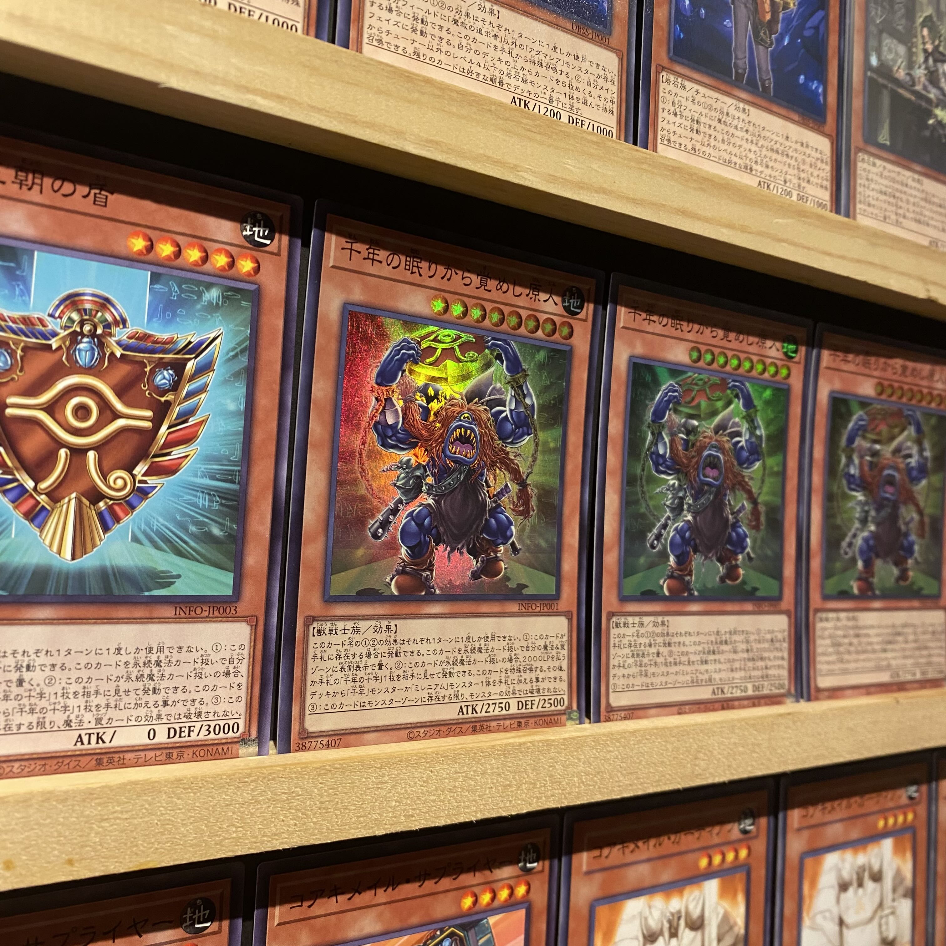 即日発送!【魔救】アダマシア デッキ 遊戯王 魔救の探索者 魔救 即日発送!【魔救】アダマシア デッキ 遊戯王 魔救の探索者 魔救