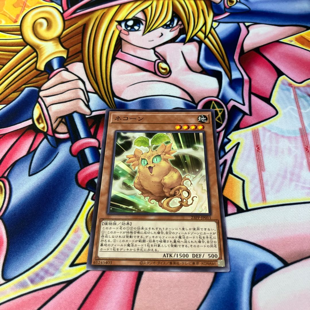 Necone Normal 23PP-JP011 1枚