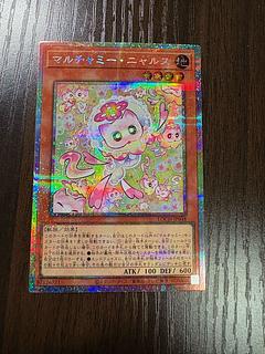 マルチャミー・ニャルス