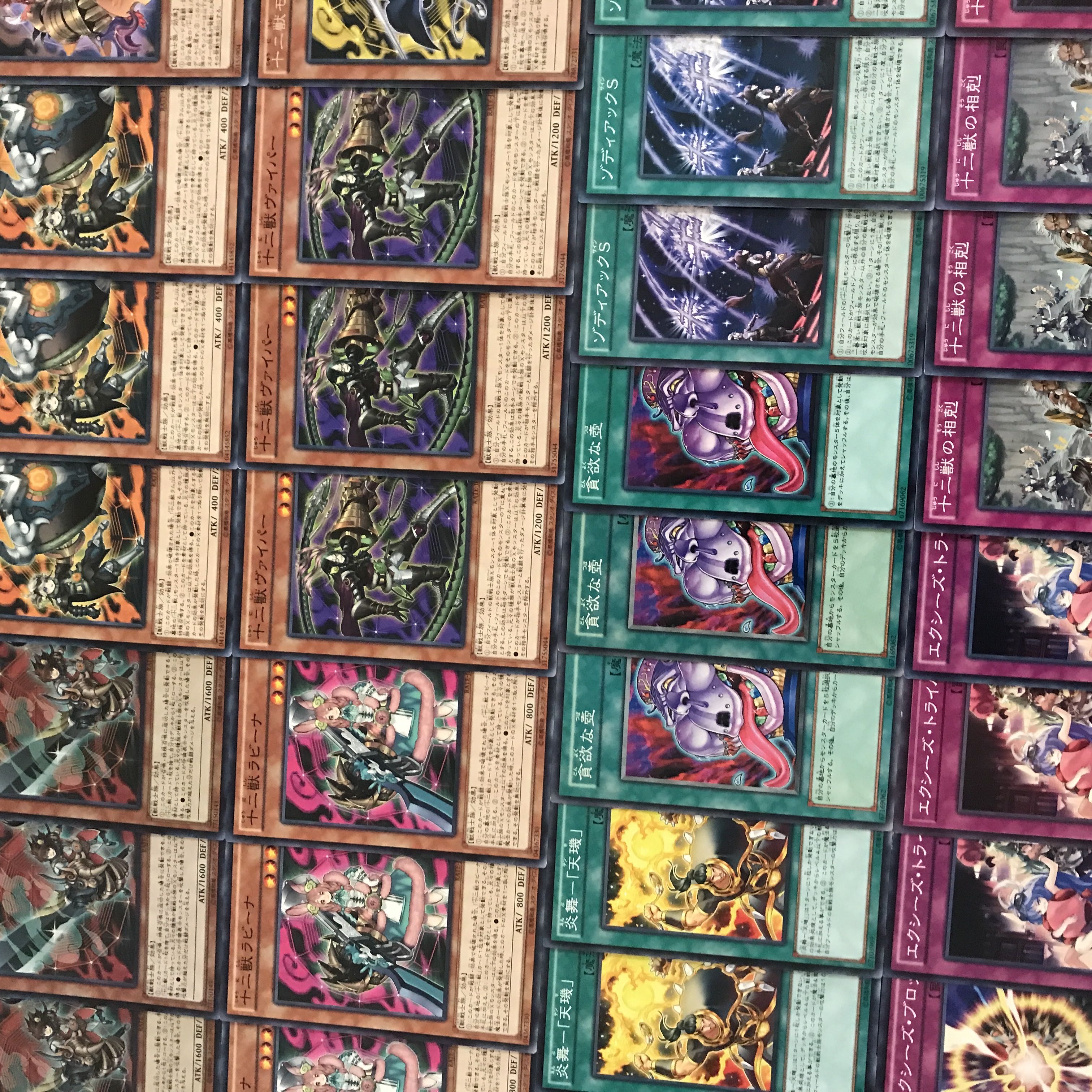 遊戯王【新制限対応！！】十二獣デッキ40枚の通販 メデューサの大蛇 