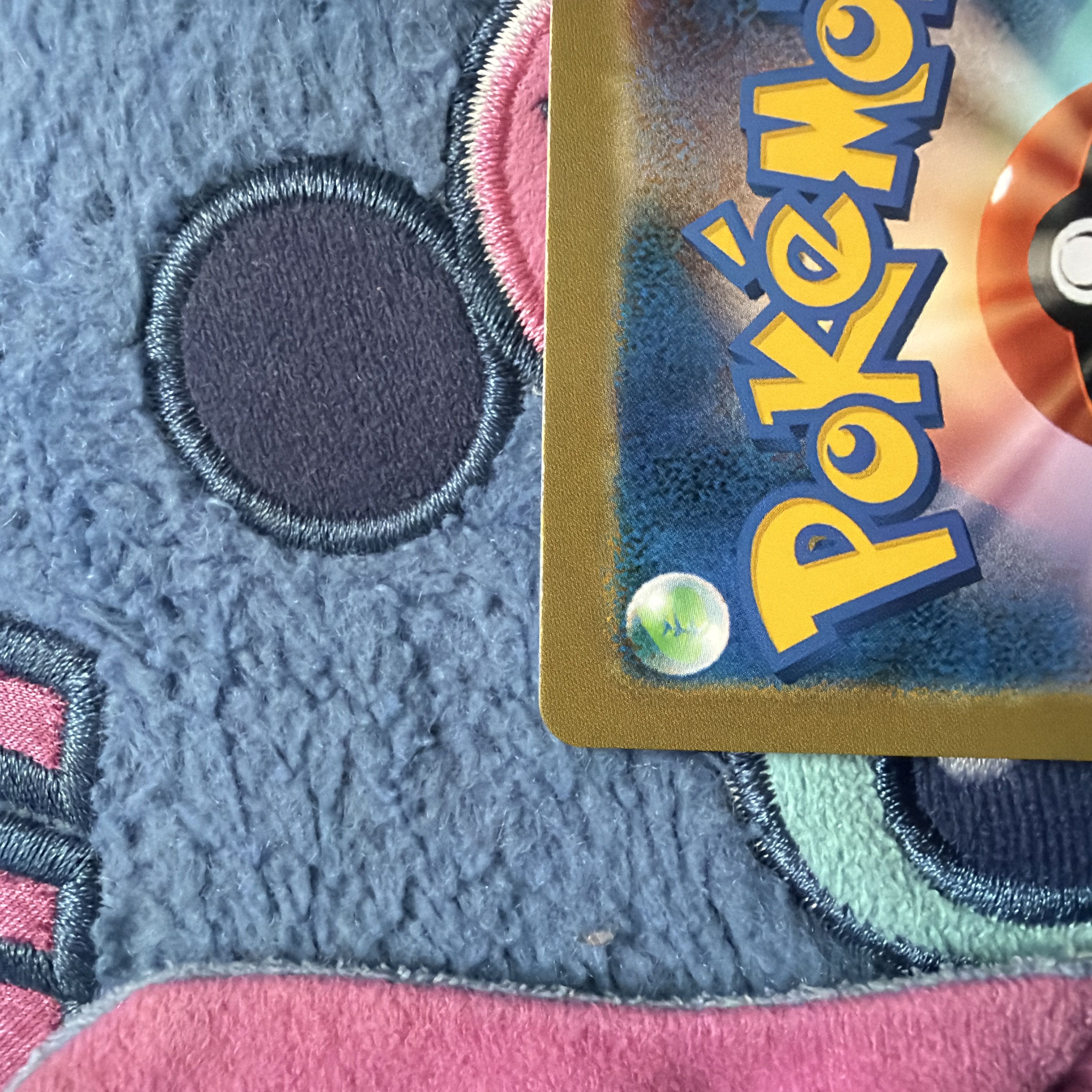 ポンチョを着たピカチュウ　レックウザ 1枚