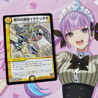 剛力の使徒イグナッチオ R 14/110