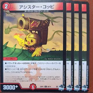 アシスター・コッピ C 68/74