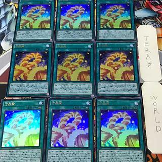 1 KC Magic, set of 9, Tera. 9枚