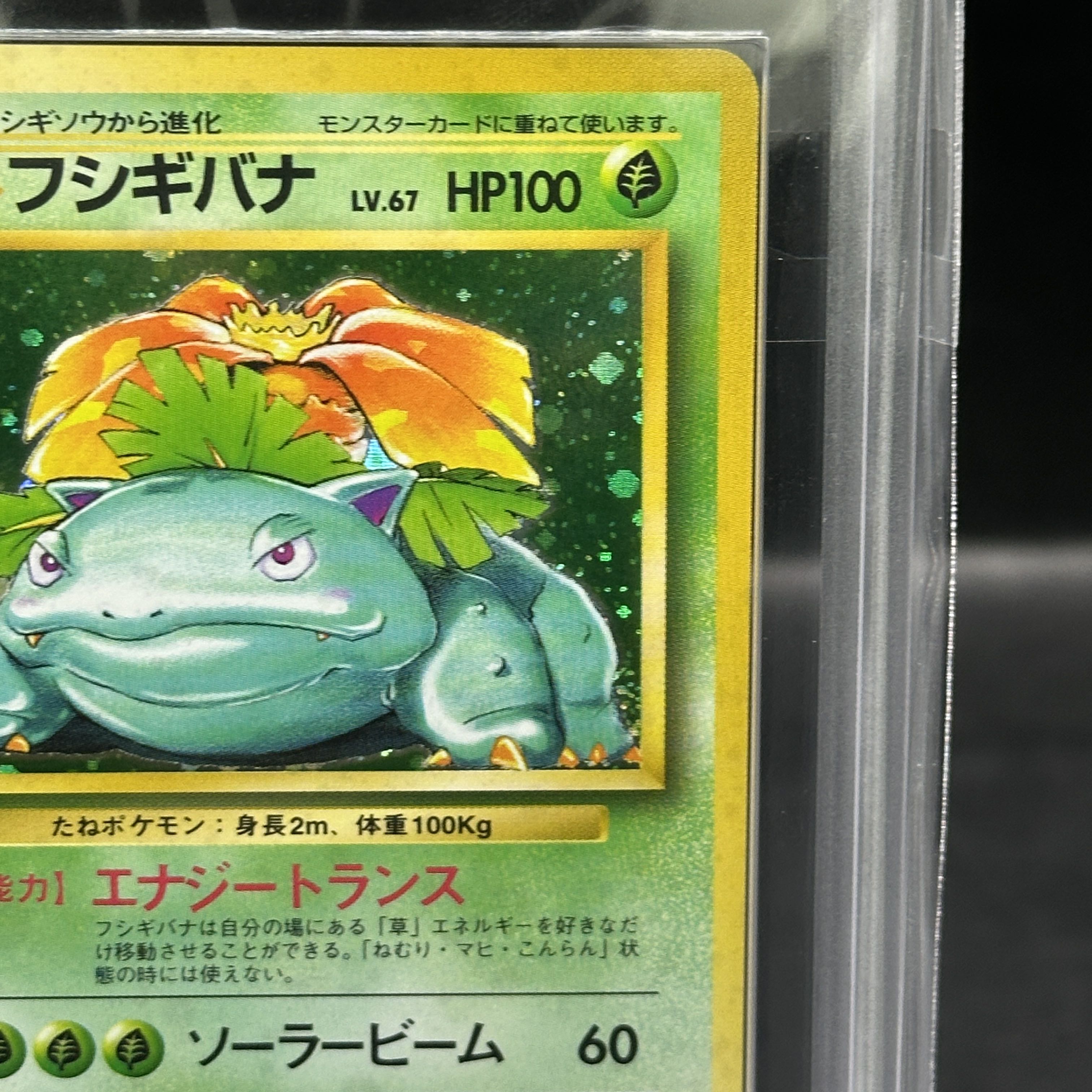 【ARS9】フシギバナ キラ マークあり 旧裏 ★ 1枚