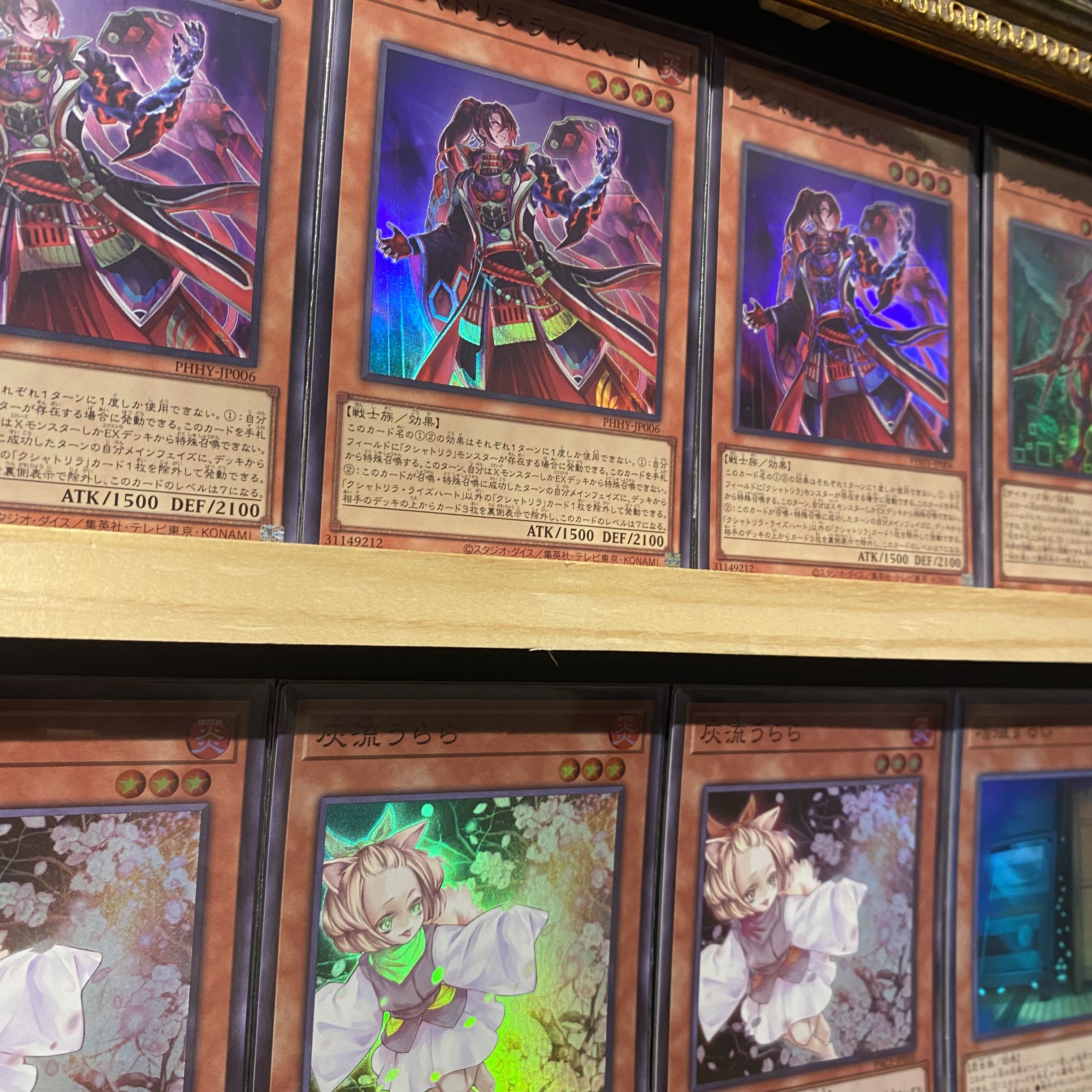 即日発送!大会用【クシャトリラ】デッキ 遊戯王 クシャトリラ 即日発送!大会用【クシャトリラ】デッキ 遊戯王 クシャトリラ
