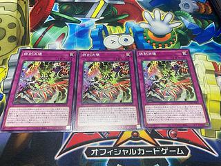 Y-2456 End of Time Decay Normal DOOD-JP074