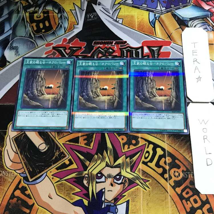 Valley of Sleep of Kings - Necro Valley 12 Normal Parallel Set of 3 Tera.