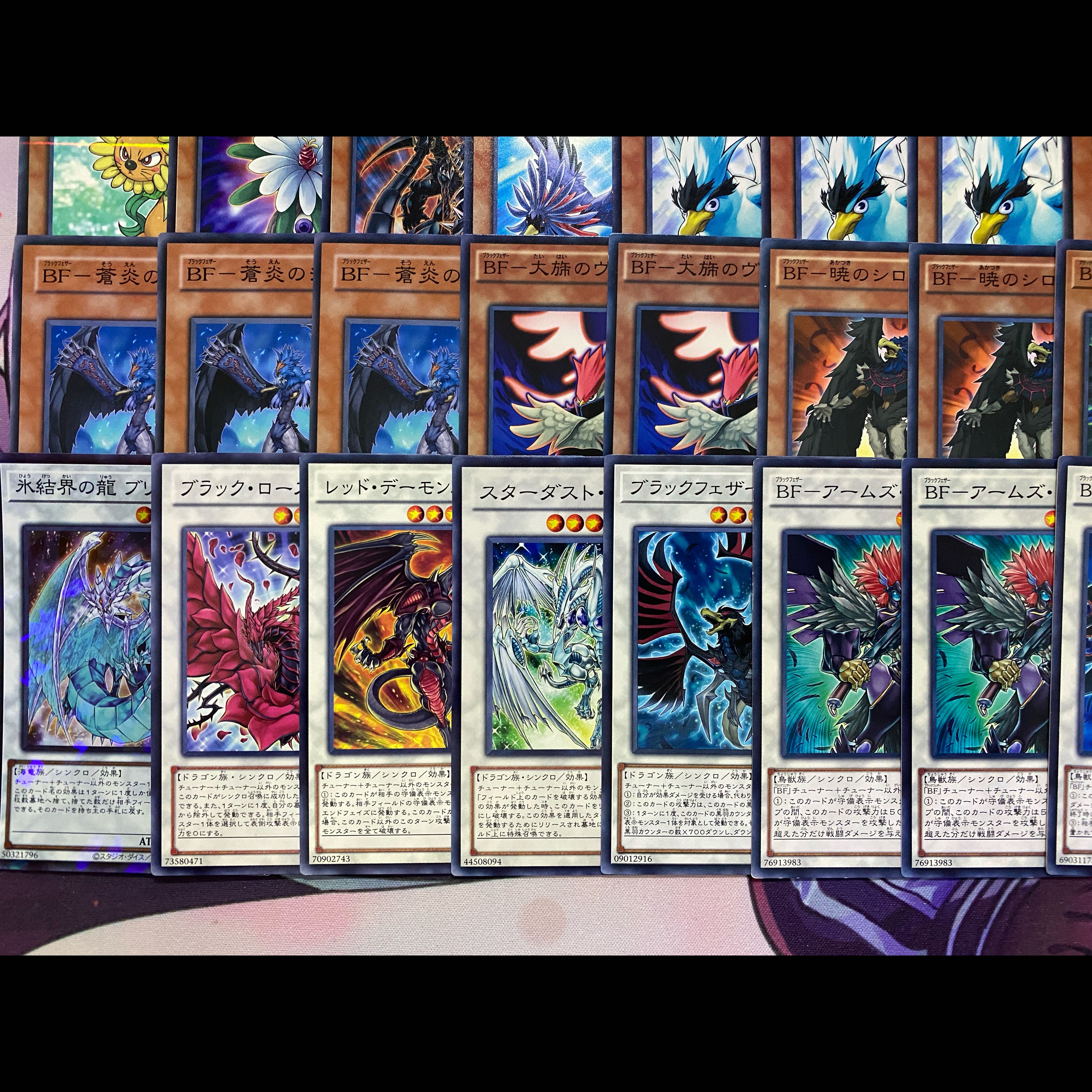 [1103 Environmental Gateball] Black Feather (BF) Pre-Built Deck 1枚