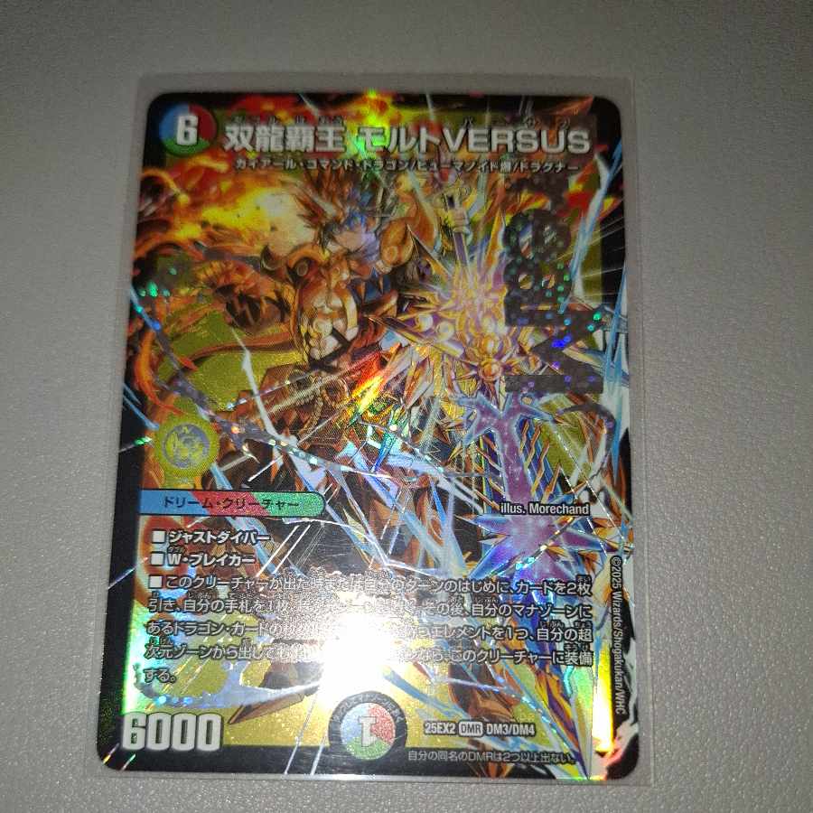 Ssangyong Haohaou Molt VERSUS DMR DM3/DM4 1枚