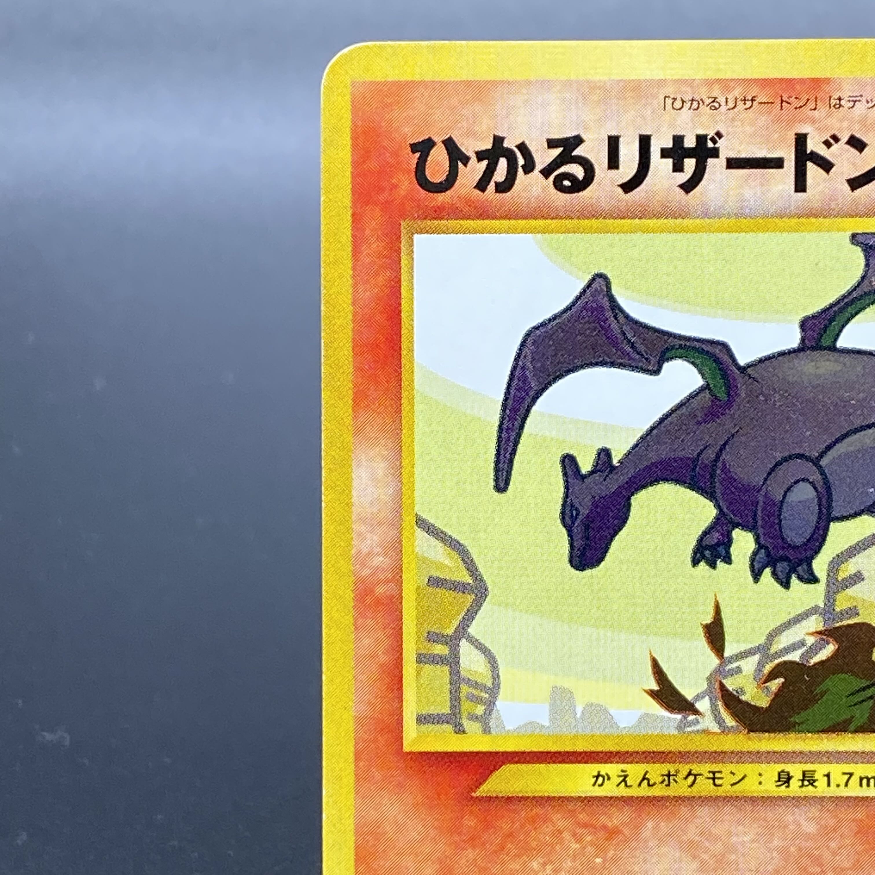 Hikaru Charizard Kira Old Back ★★★★