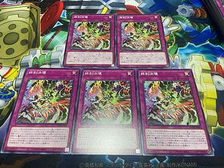 Y-2457 End of Time Decay Normal DOOD-JP074