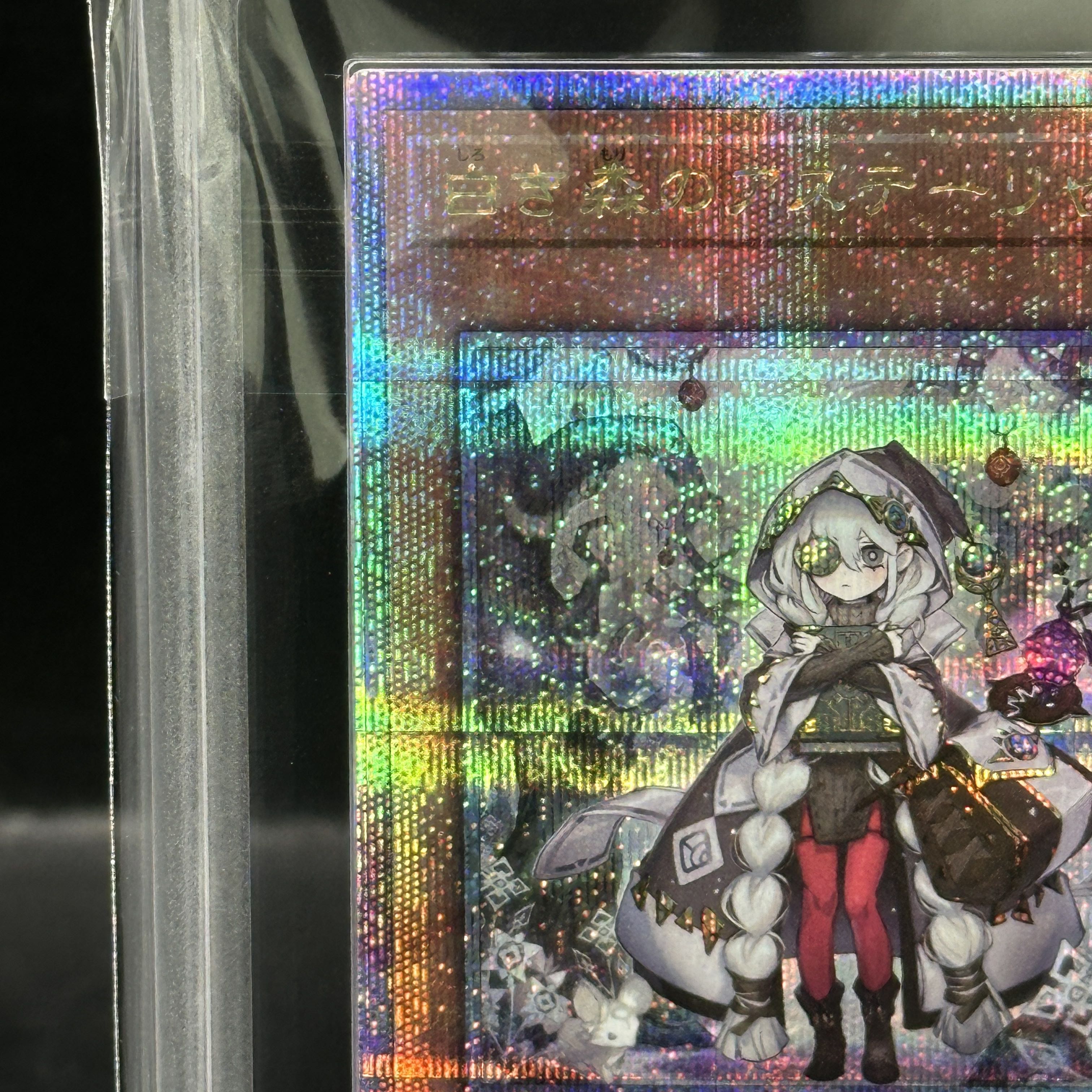 【ARS10+】白き森のアステーリャ QCSE・25thシク INFO-JP013 1枚