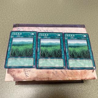 Wetlands Normal JP054 3枚