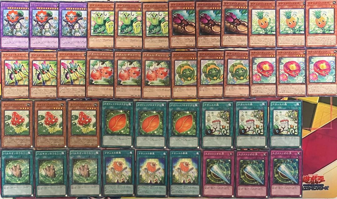 Naturdeck parts Yu-Gi-Oh!