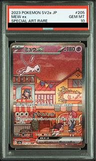 PSA10] Mewex SAR 205/165