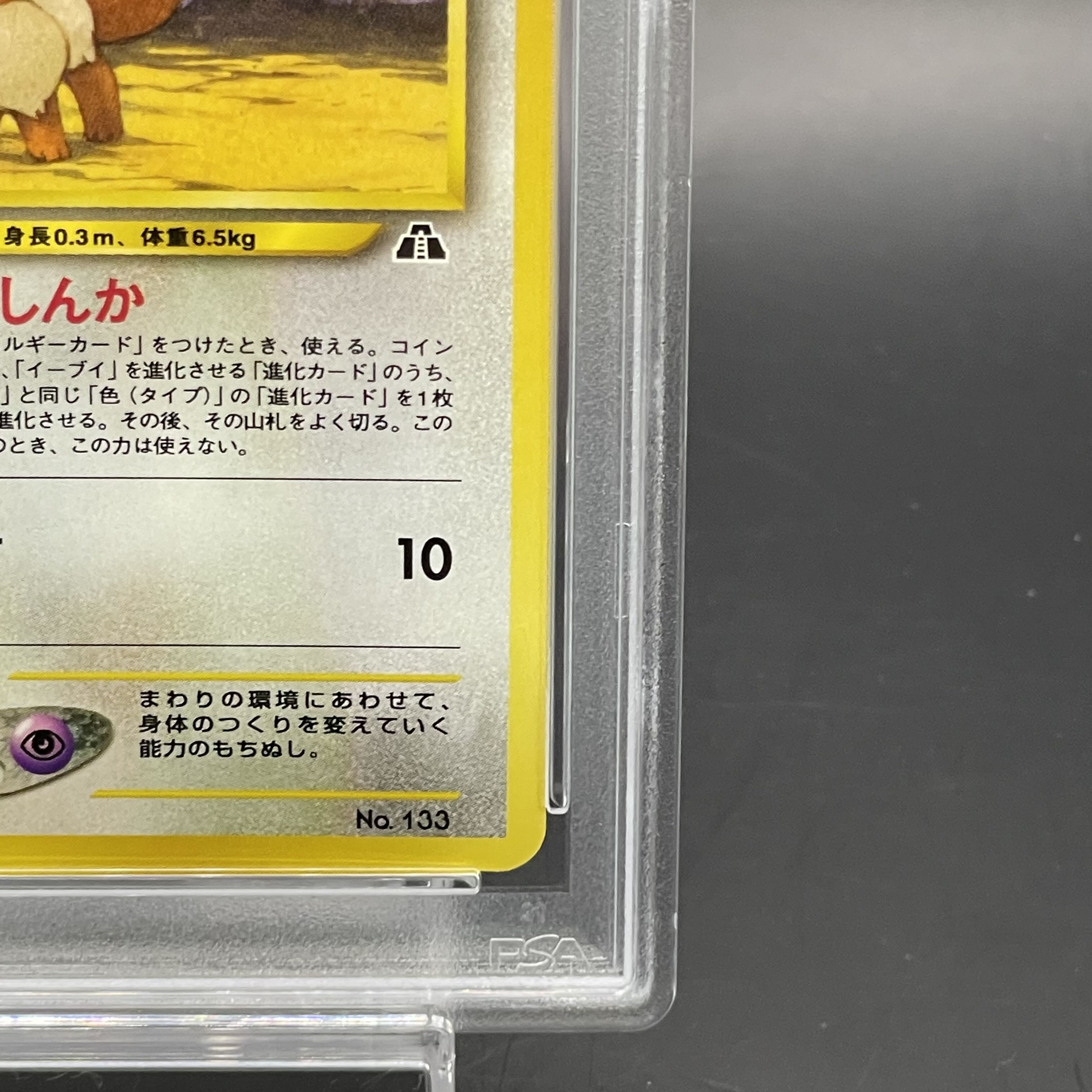 【PSA10】イーブイ プレミアムファイル 旧裏